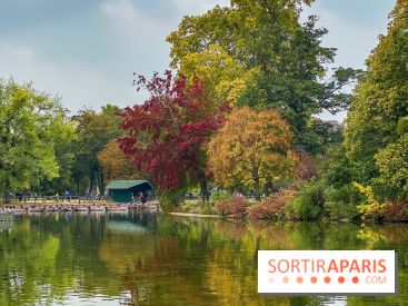 Bois de Vincennes automne