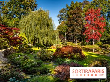 Le Jardin japonais du Château de Courances