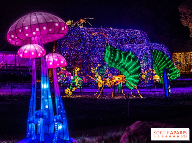 Thoiry Lumières Sauvages 2022 - 2023