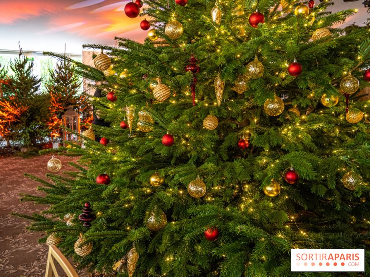 Visuels Noël - sapin