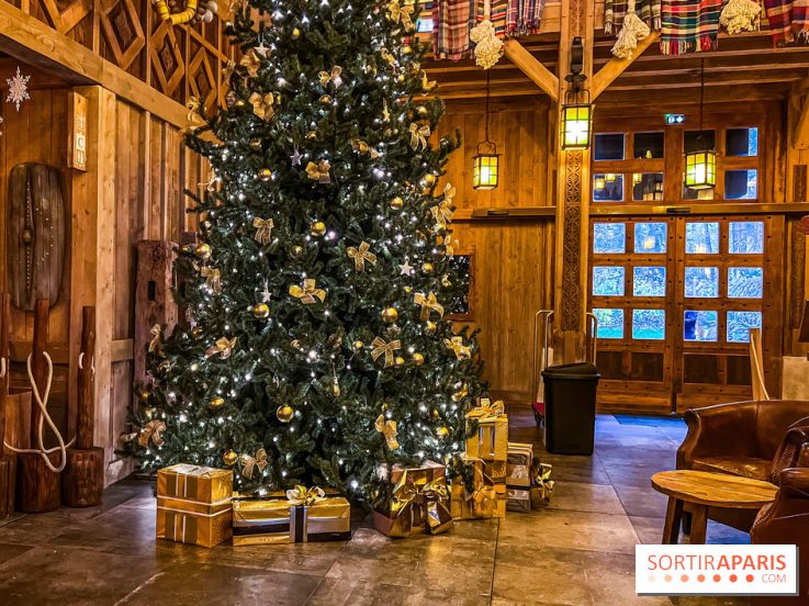 Noël Paris visuels - sapin de noël