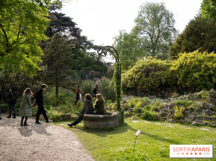 Le Jardin Alpin caché du Jardin des Plantes