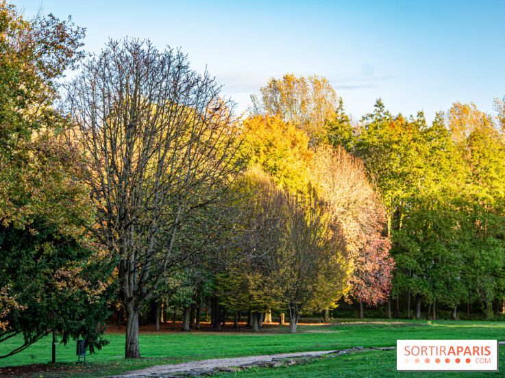 Abbaye de Maubuisson visuels
