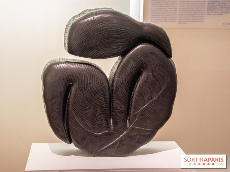 Carte Blanche à Wang Keping au Musée Guimet - nos photos