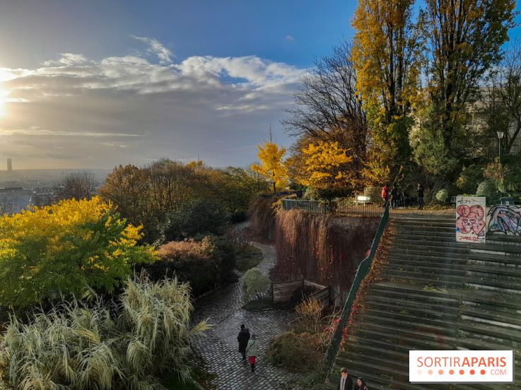 Visuels - Parc de Belleville en automne