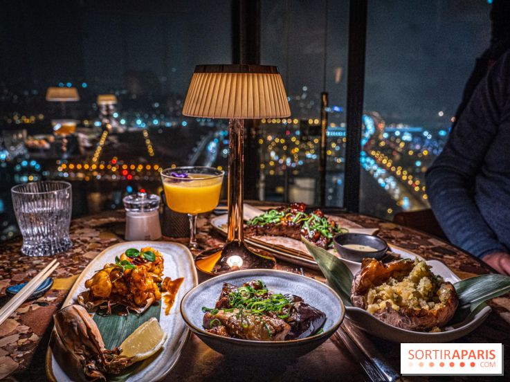 Too Restaurant - Too hôtel Paris - photos - menu - plat - vue