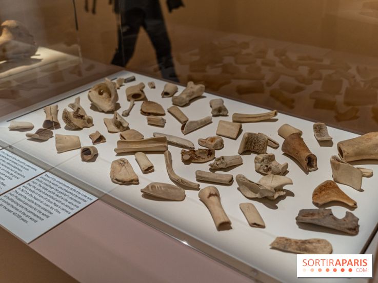 Picasso et la Préhistoire, les photos de l'exposition au Musée de l'Homme - ossements