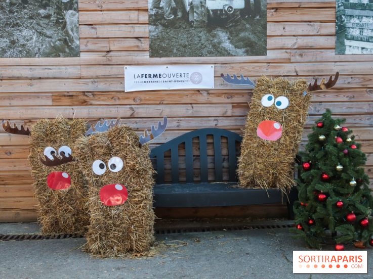 Fermes de Gally - Saint Denis - EFD0DDCE 5013 49EA 88FA B56CDA1F6CEE