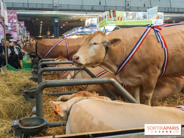 Salon de l'agriculture 2023
