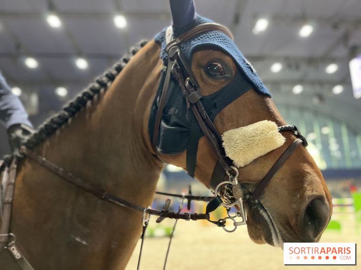 cheval - Saut Hermès