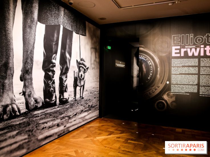 Elliott Erwitt, l'expo au Musée Maillol, nos photos