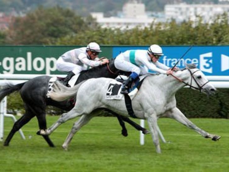 Les dimanches au galop
© Scoop Dyga