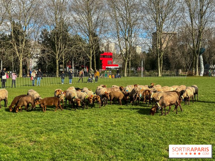 Transhumance à la Villette - 0A0601BF B46E 4CB3 8C5C 8FCED47E3559