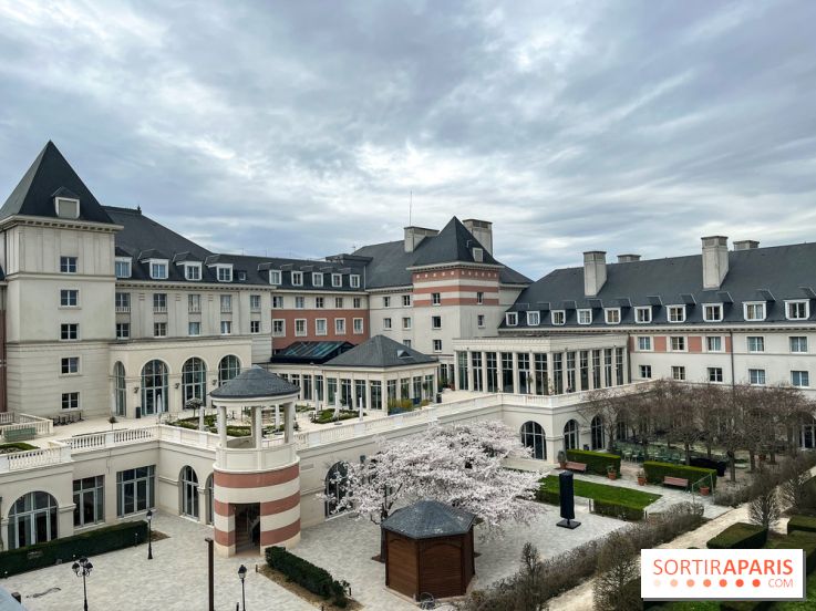 Dream Castle Hôtel, le 4**** familial à côté de Disneyland - 5346E49D 7A5D 4F5D 88B8 0BDA690743A4
