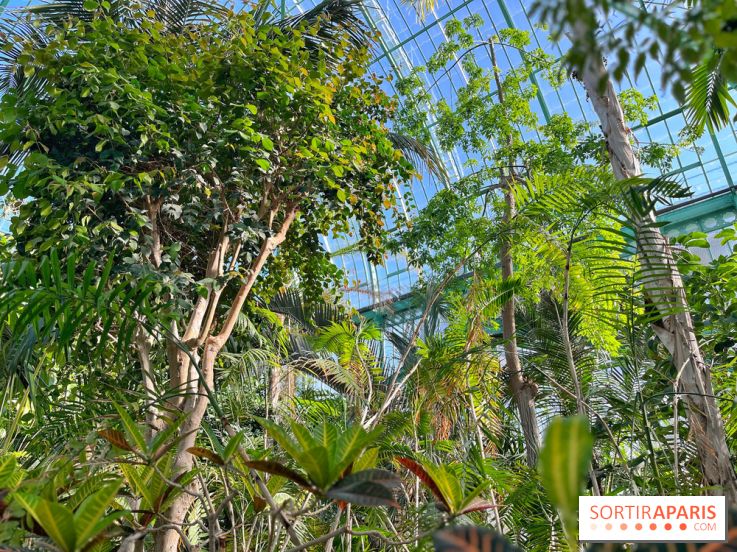 Le Jardin des Serres d'Auteuil - IMG 1552