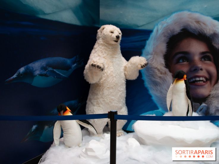 Aquarium Sea Life