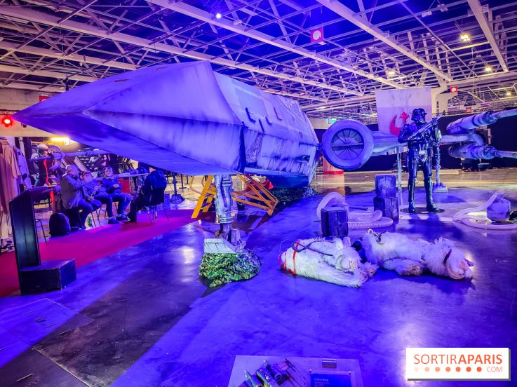 Paris Fan Festival, le salon qui célèbre la pop culture est ouvert à Paris Expo - IMG20230414182416