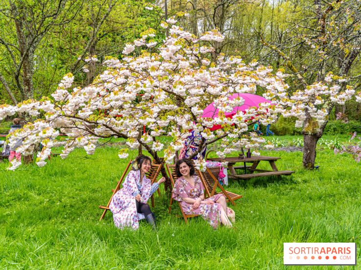 Le Moulin jaune - Hanami 2023