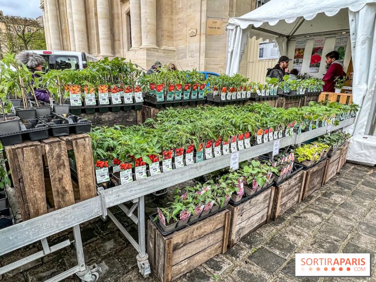 Esprit Jardin à Versailles - Marché aux plantes et animations
