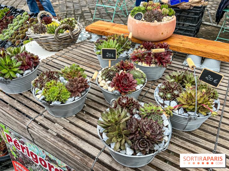 Esprit Jardin à Versailles - Marché aux plantes et animations