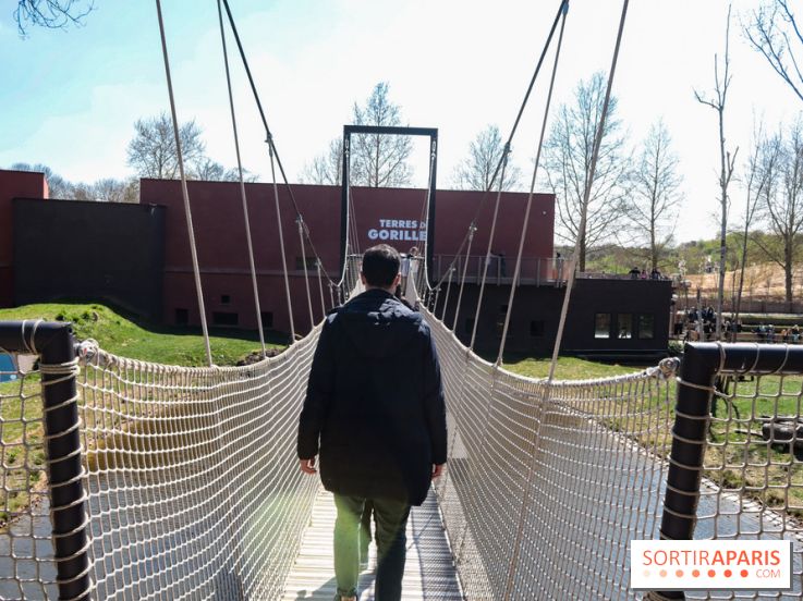 Zoo de Thoiry 2023 - Terre des gorilles