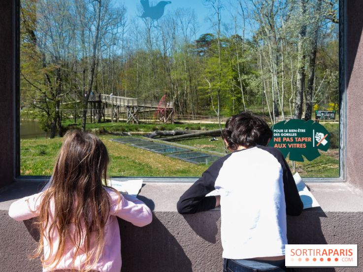 Zoo de Thoiry 2023 - visuel enfant