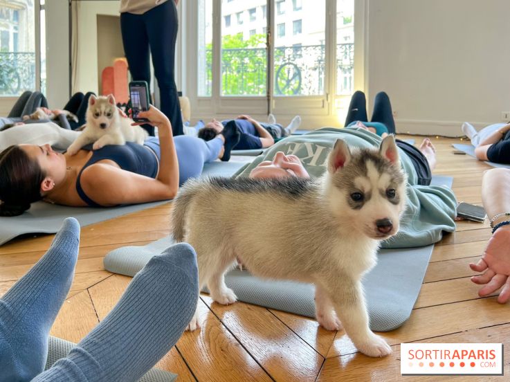 Puppy Yoga