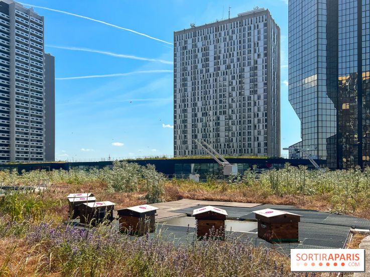 Les toits de Beaugrenelle