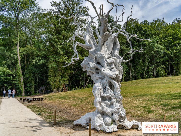Perchoir Y, restaurant par Guillaume Sanchez et guinguette en forêt