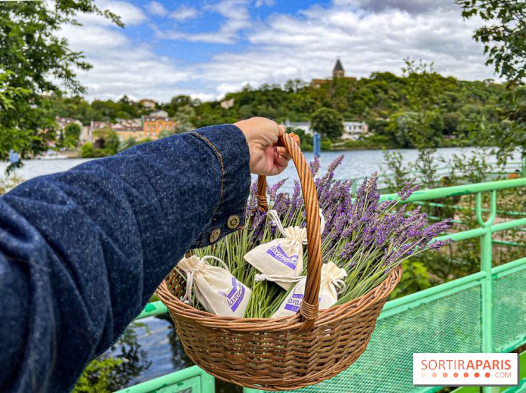 Fête de la Lavande sur le site Seine Aval Achères/Maisons-Laffitte - image00003