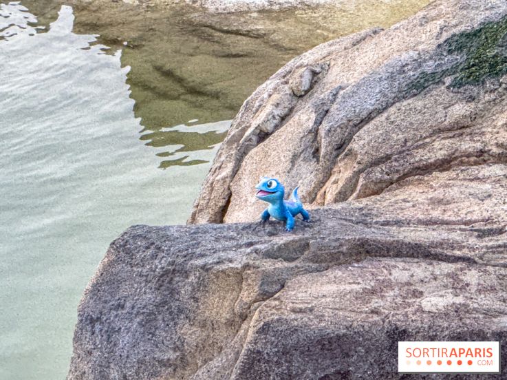 Disneyland Secrets visuels - World of Frozen bruni salamandre