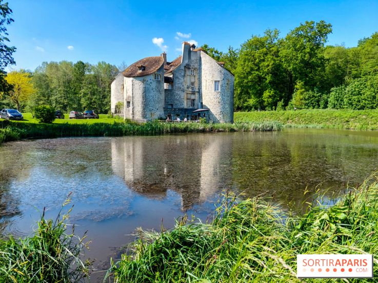 Balade nature dans la forêt de Montmorency, nos photos