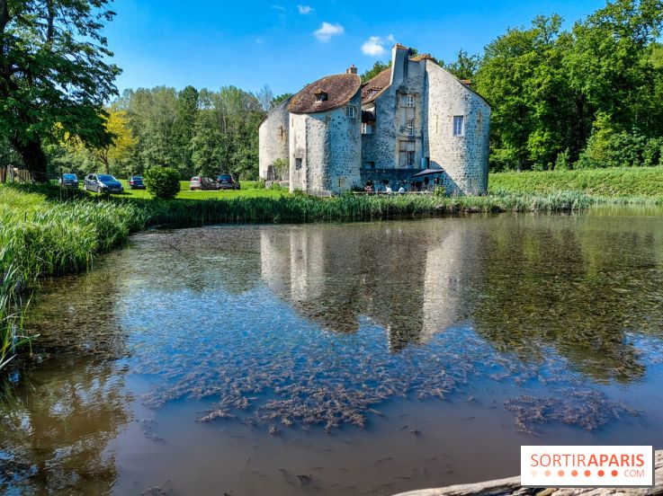 Balade nature dans la forêt de Montmorency, nos photos