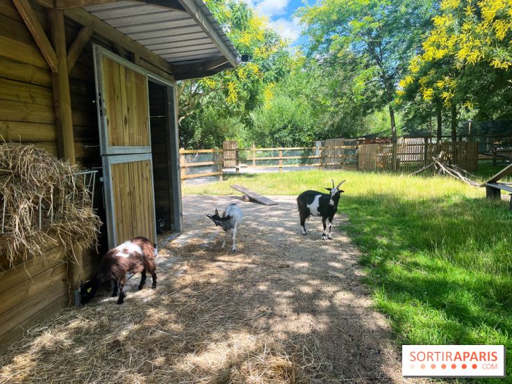 La ferme de la Villette et ses animaux