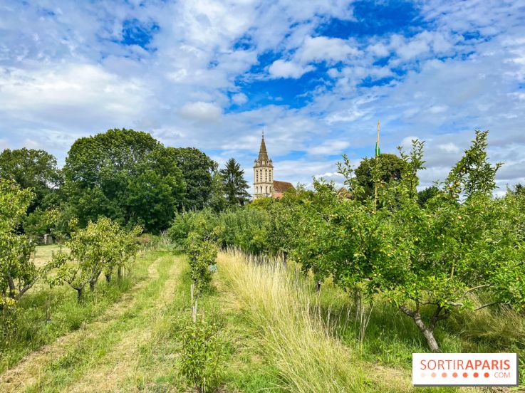 Cergy, la ville aux milles facettes - image00130