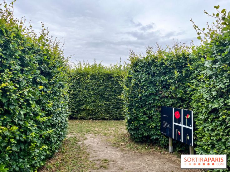 Les labyrinthes de Gally 2023
