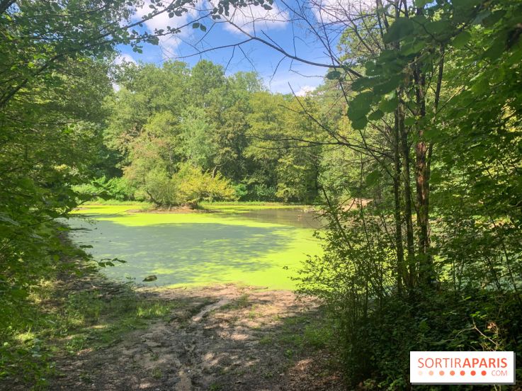 Le Parc forestier de la Poudrerie à Sevran