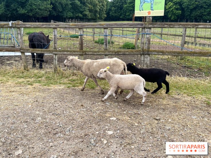 La ferme de Saint-Cyr l'Ecole - image00041