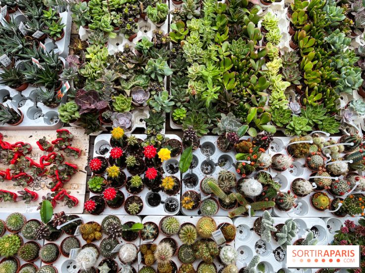 La ferme de Saint-Cyr l'Ecole - image00001