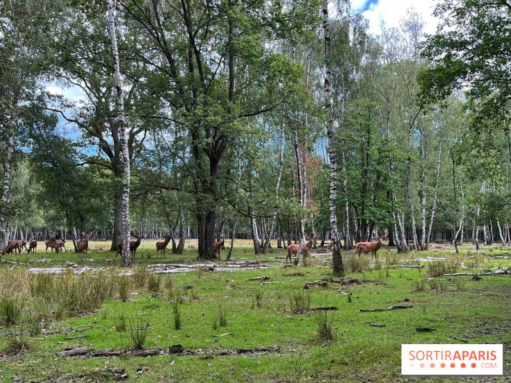 Espace Rambouillet - IMG 4529