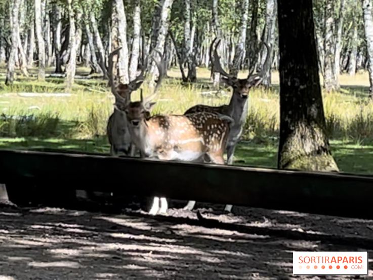 Espace Rambouillet - IMG 4544