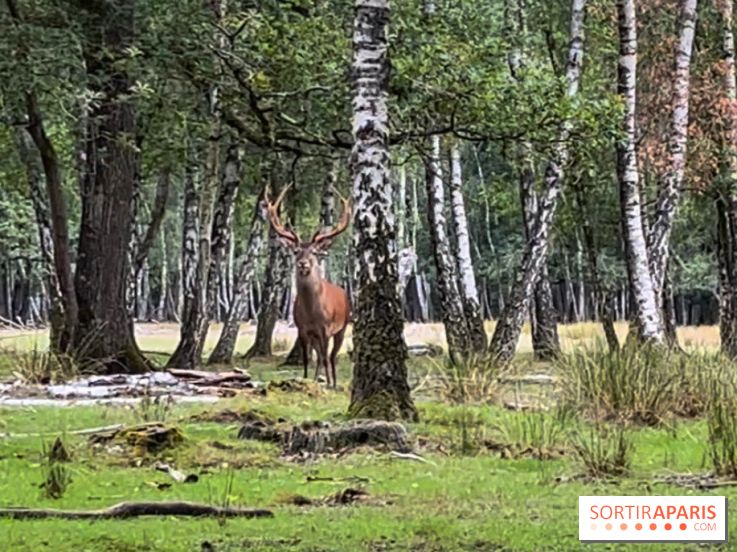 Espace Rambouillet - IMG 4546