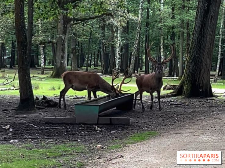 Espace Rambouillet - IMG 4547