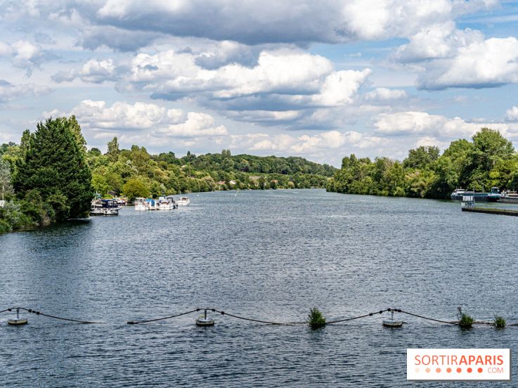 Village de Bois-le-Roi : les Affolantes en bord de Seine -  A7C8869