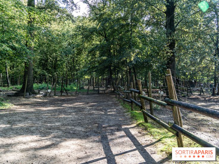 Le village de Janvry en Haute Vallée de Chevreuse  -  A7C0062