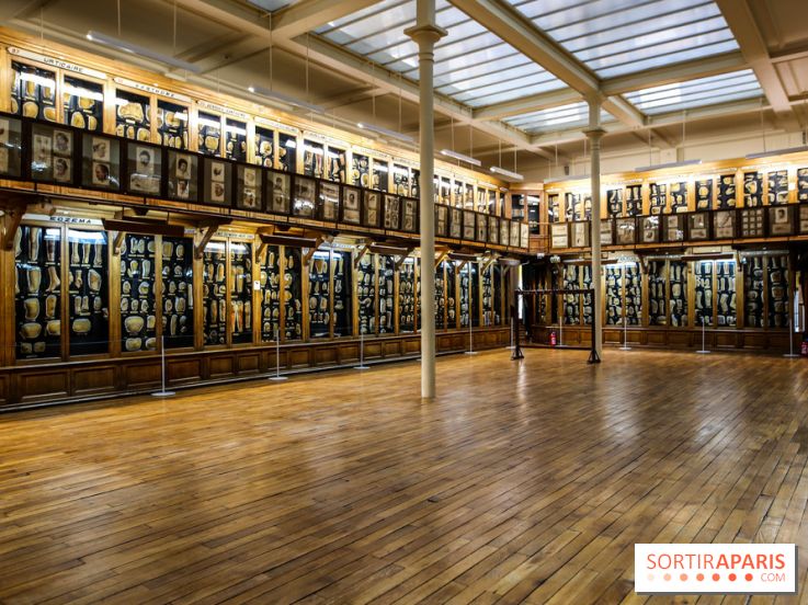 Musée des Moulages à Paris, nos photos