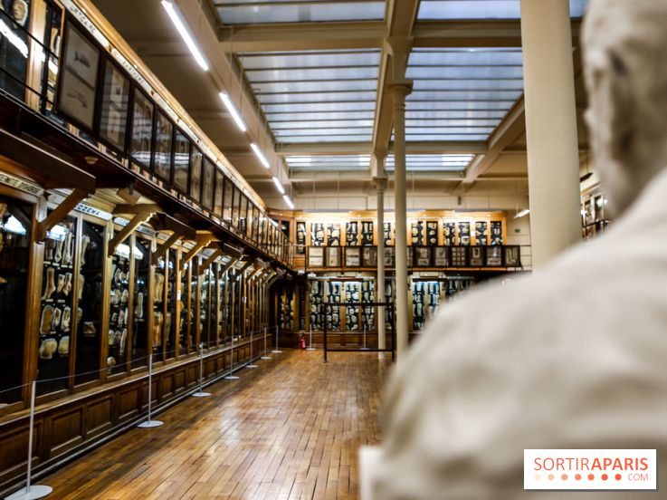 Musée des Moulages à Paris, nos photos - IMG 0845