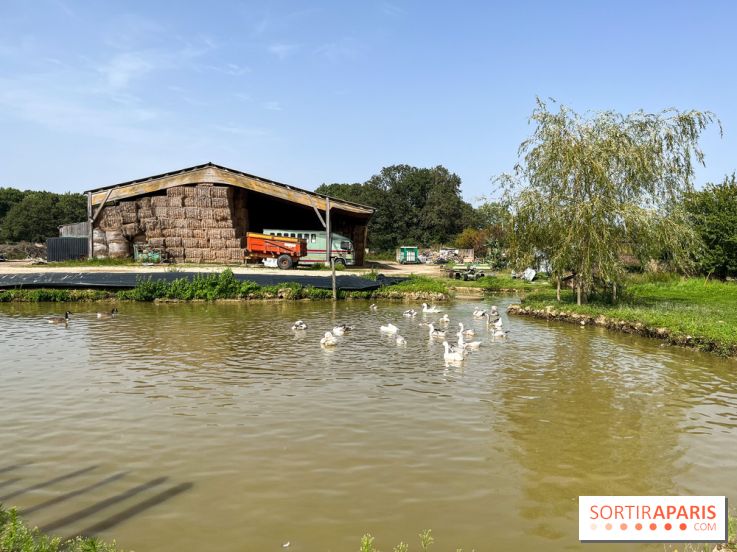 La Ferme des 4 Etoiles à Auffargis
