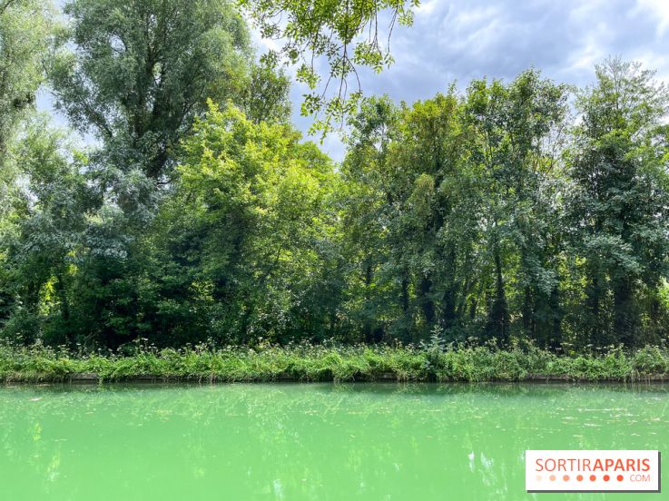 Un week-end le long du Loing, de Montigny-sur-Loing à Thomery