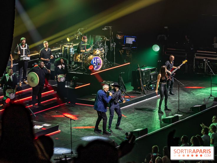 L'Héritage Goldman au Dôme de Paris - Palais des Sports - les photos -  A7C2171